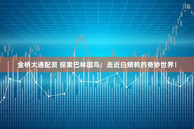 金桥大通配资 探索巴林国鸟：走近白颊鹎的奇妙世界！
