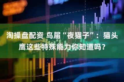 淘操盘配资 鸟届“夜猫子”：猫头鹰这些特殊能力你知道吗？