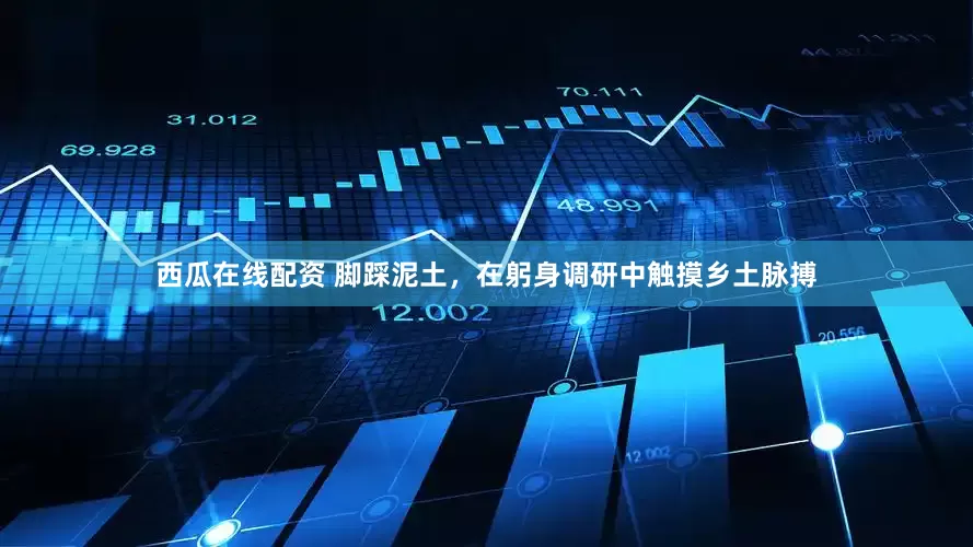 西瓜在线配资 脚踩泥土，在躬身调研中触摸乡土脉搏
