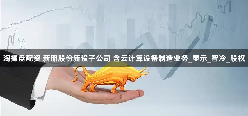 淘操盘配资 新朋股份新设子公司 含云计算设备制造业务_显示_智冷_股权
