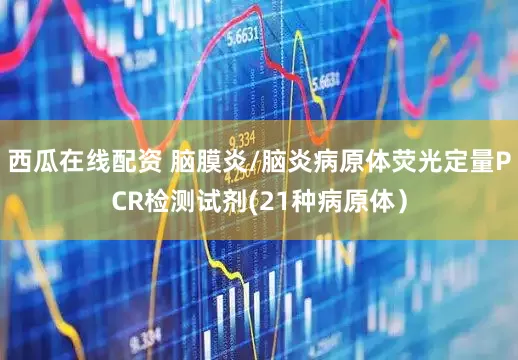 西瓜在线配资 脑膜炎/脑炎病原体荧光定量PCR检测试剂(21种病原体）