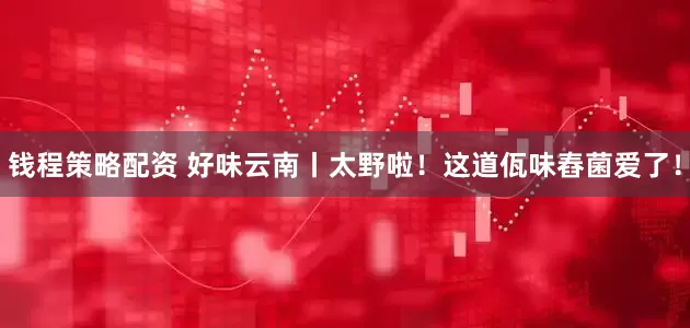 钱程策略配资 好味云南丨太野啦！这道佤味舂菌爱了！